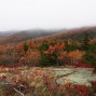 Clouds envelope Cadillac Mountain