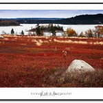 Mason Bay