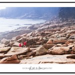 Between Thunder Hole and Otter Cliffs, Acadia National Park