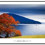 Somes Sound