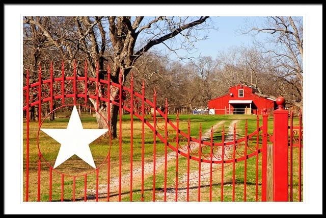 Lone Star Lone Star