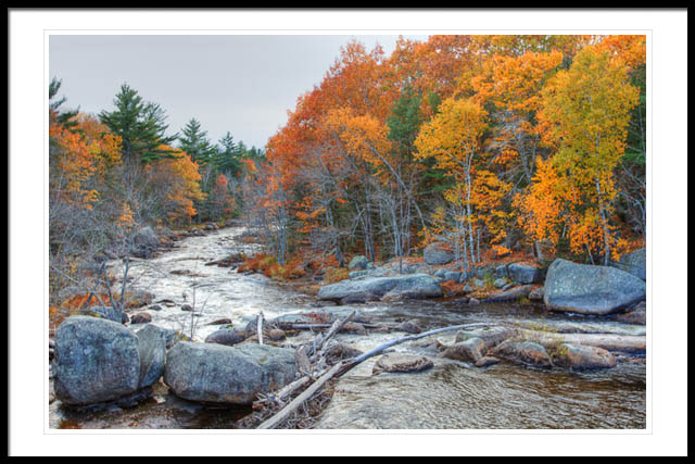Maine Stream Maine Stream